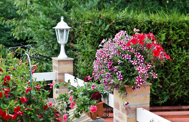 Jardins et balcons fleuris 2014