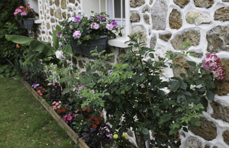 Balcons et jardins fleuris 2013