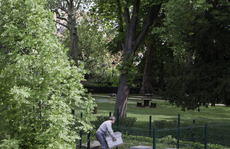 Installation des ruches