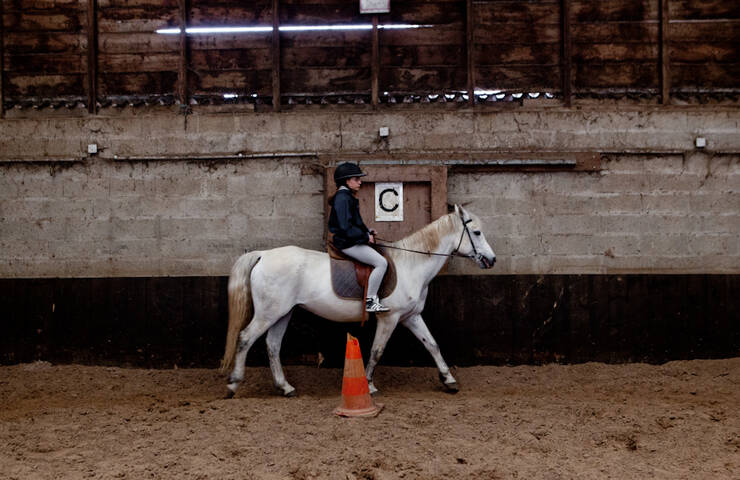 Stage d'équitation du smj