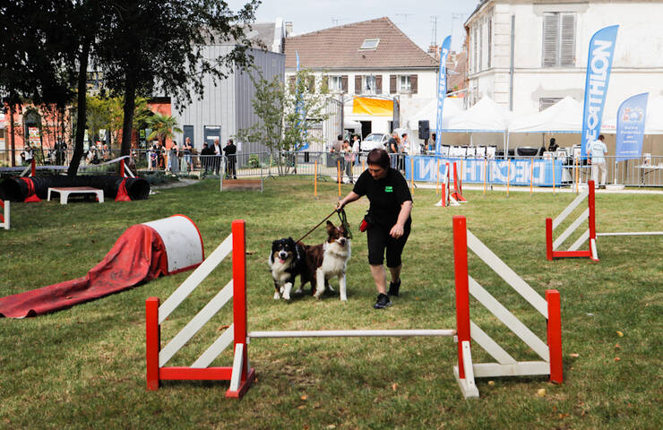 Foire aux Haricots 2014