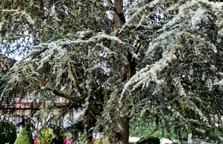 Jardins et balcons fleuris 2014
