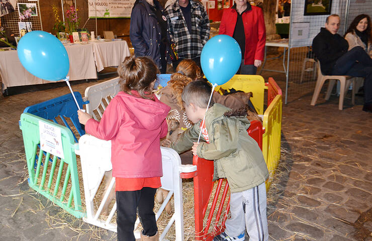 5 Enfants biquettes