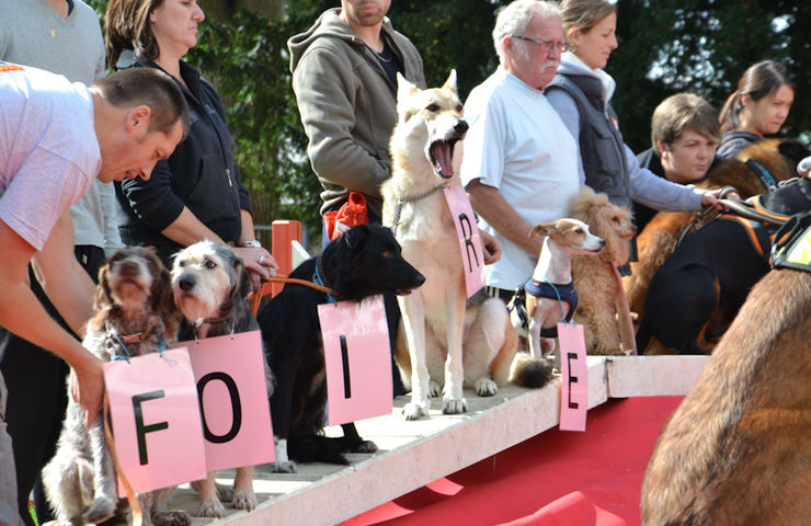 Foire aux haricots 2015