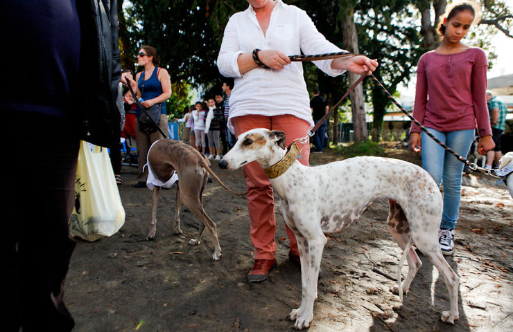 82e Foire aux Haricots