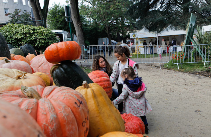 Foire aux haricots 2015