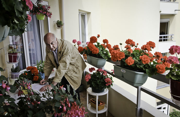 Balcons et jardins fleuris 2013