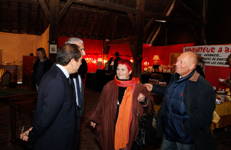 Salon des antiquaires 2013