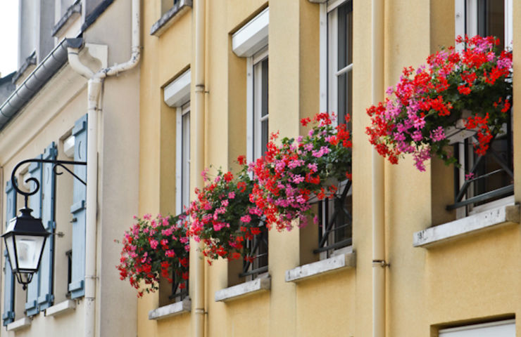 Jardins et balcons fleuris 2014
