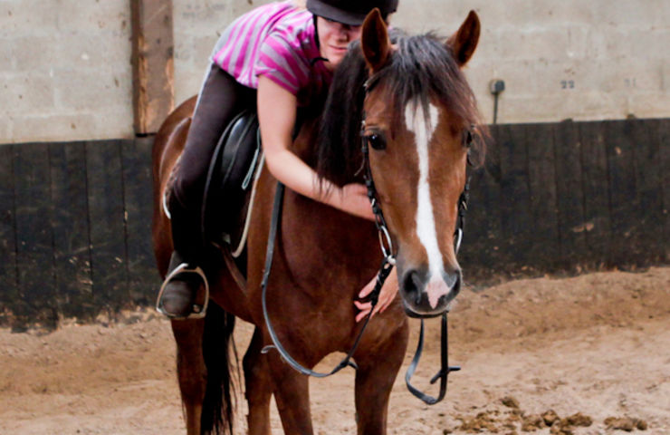 Stage d'équitation du smj