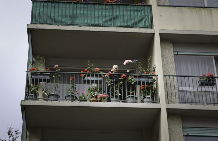 Balcons et jardins fleuris 2013