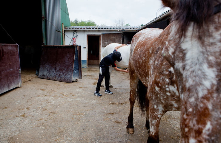 Stage d'équitation du smj