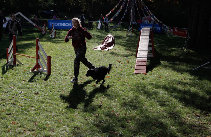 Foire aux haricots 2015