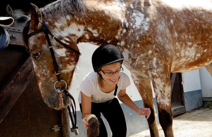 Stage d'équitation du smj