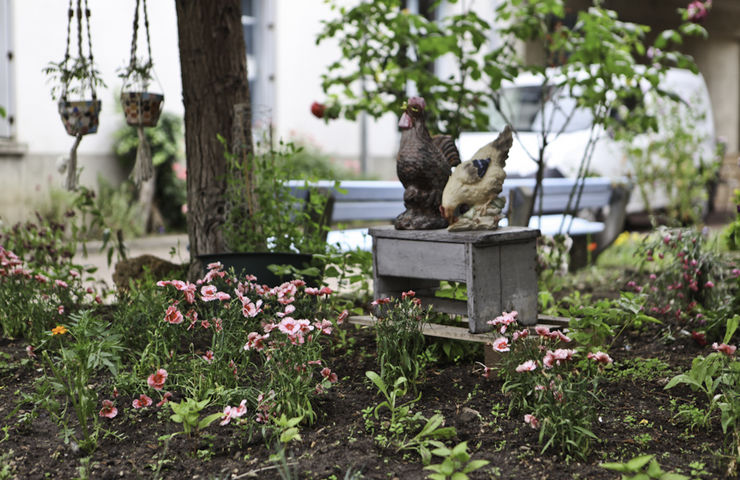 Balcons et jardins fleuris 2013