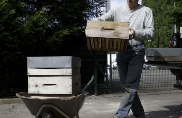 Installation des ruches