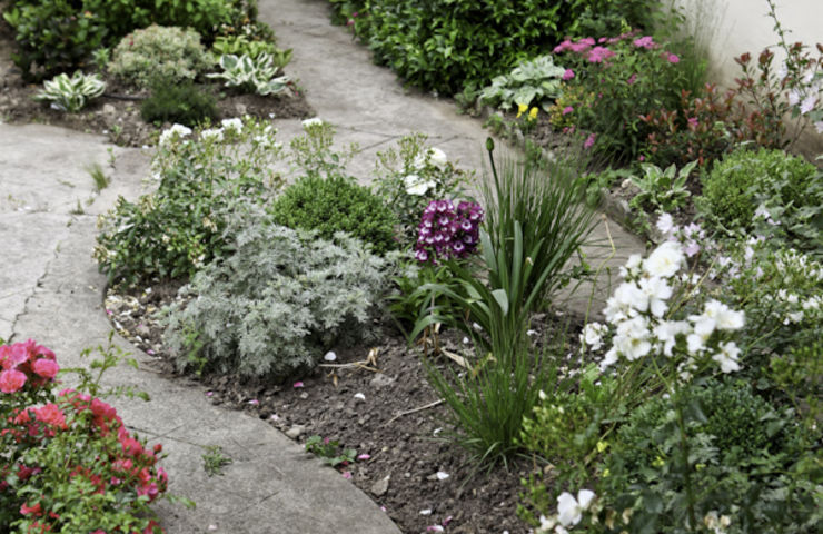 Balcons et jardins fleuris 2013