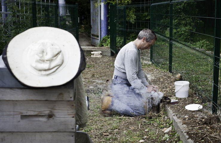 Installation des ruches